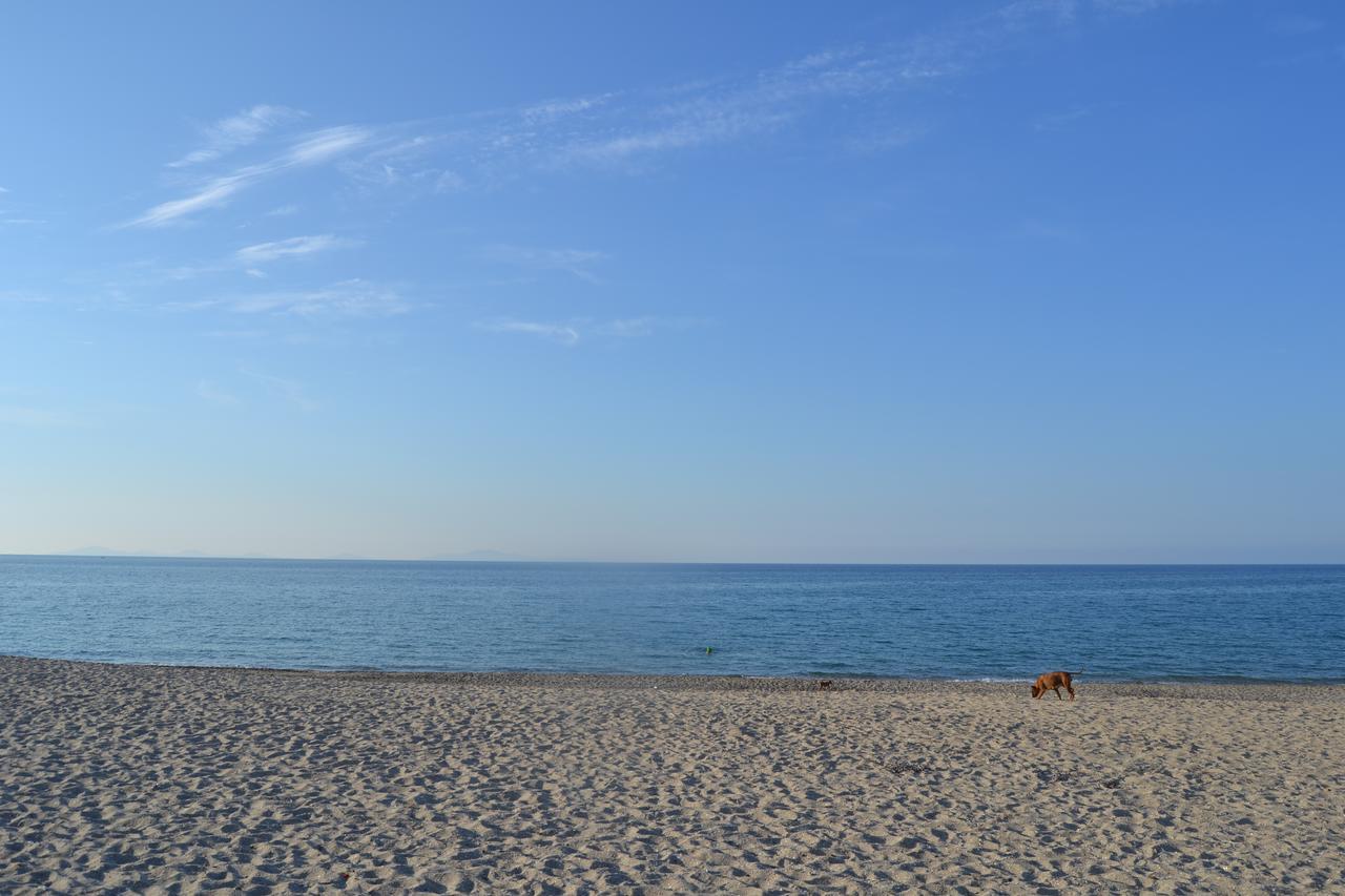 B&B Miramare Platamona Dış mekan fotoğraf