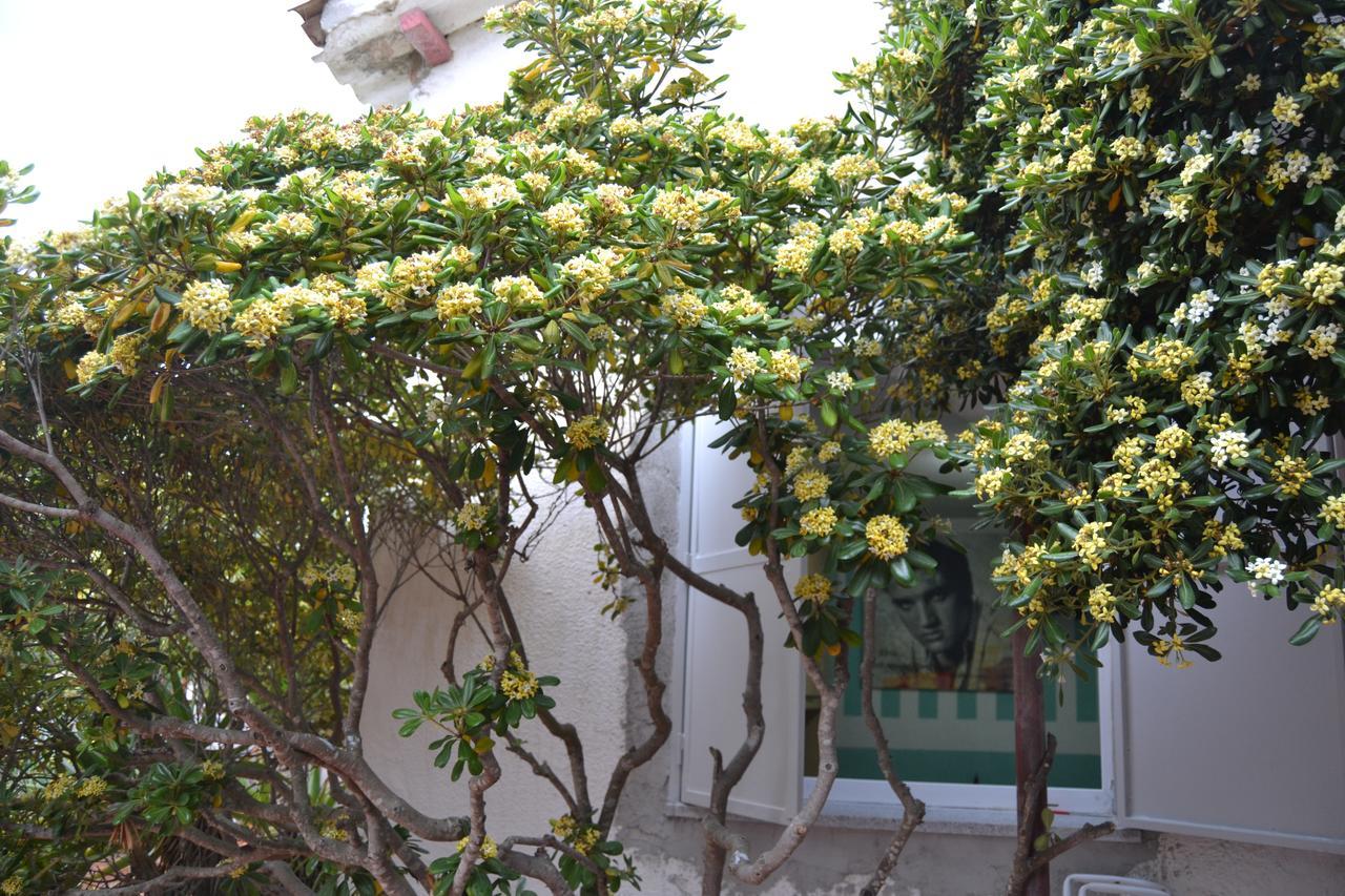 B&B Miramare Platamona Dış mekan fotoğraf
